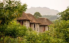 Tabebuia Spa And Safari Resort
